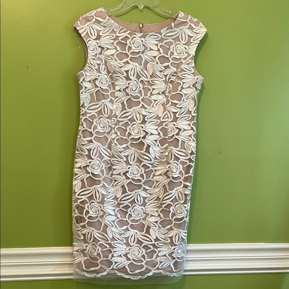 EUC Alex Evenings Ribbon Embroidered Overlay Dress with Blush Lining